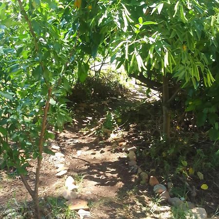 Bethany Farm Twee Riviere Ngoại thất bức ảnh
