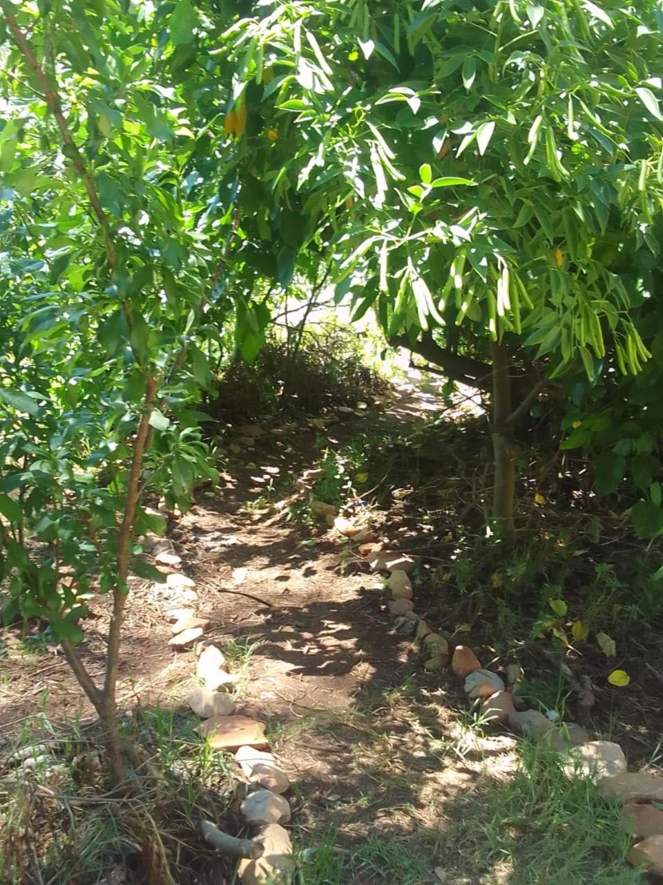 Bethany Farm Twee Riviere Ngoại thất bức ảnh