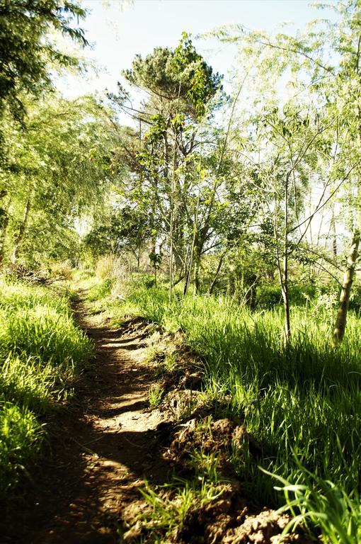 Bethany Farm Twee Riviere Ngoại thất bức ảnh