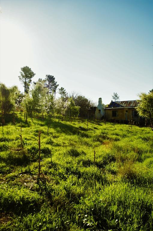 Bethany Farm Twee Riviere Ngoại thất bức ảnh