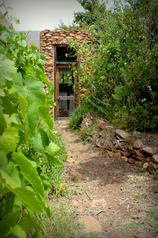 Bethany Farm Twee Riviere Ngoại thất bức ảnh