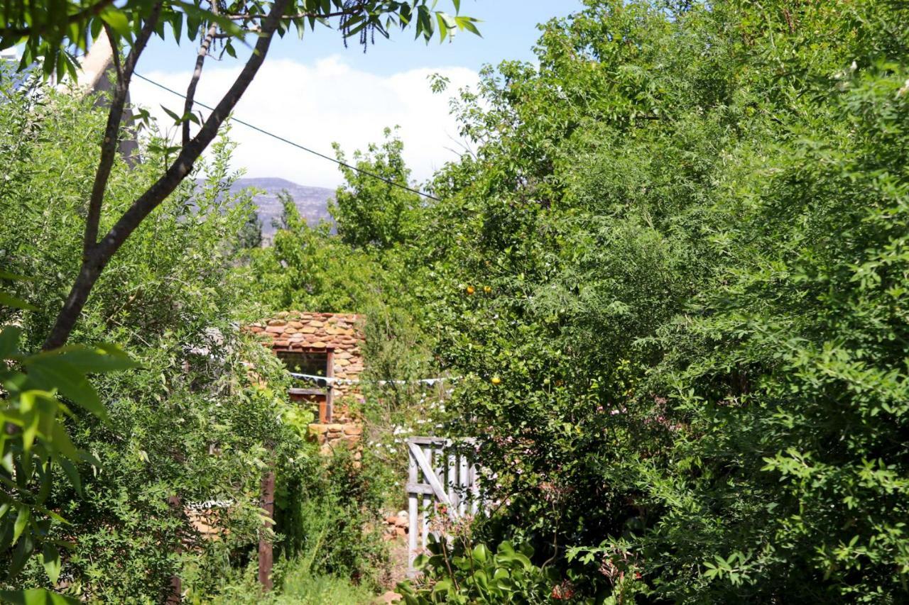 Bethany Farm Twee Riviere Ngoại thất bức ảnh